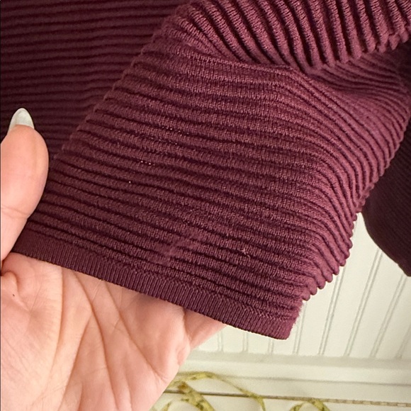 Babaton Aritzia Ambrosio Turtleneck in Burgundy and Black - Picture 4 of 9